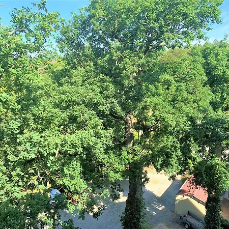 Les Camelias Hotel