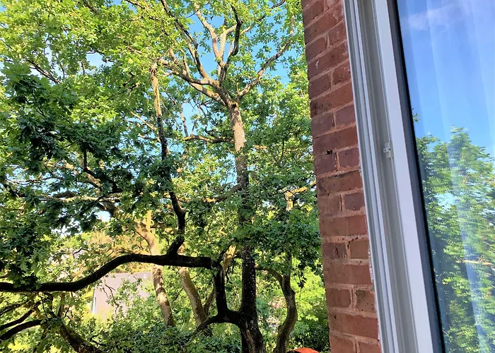 Hotel Les Camelias Bagnoles de l'Orne Normandie